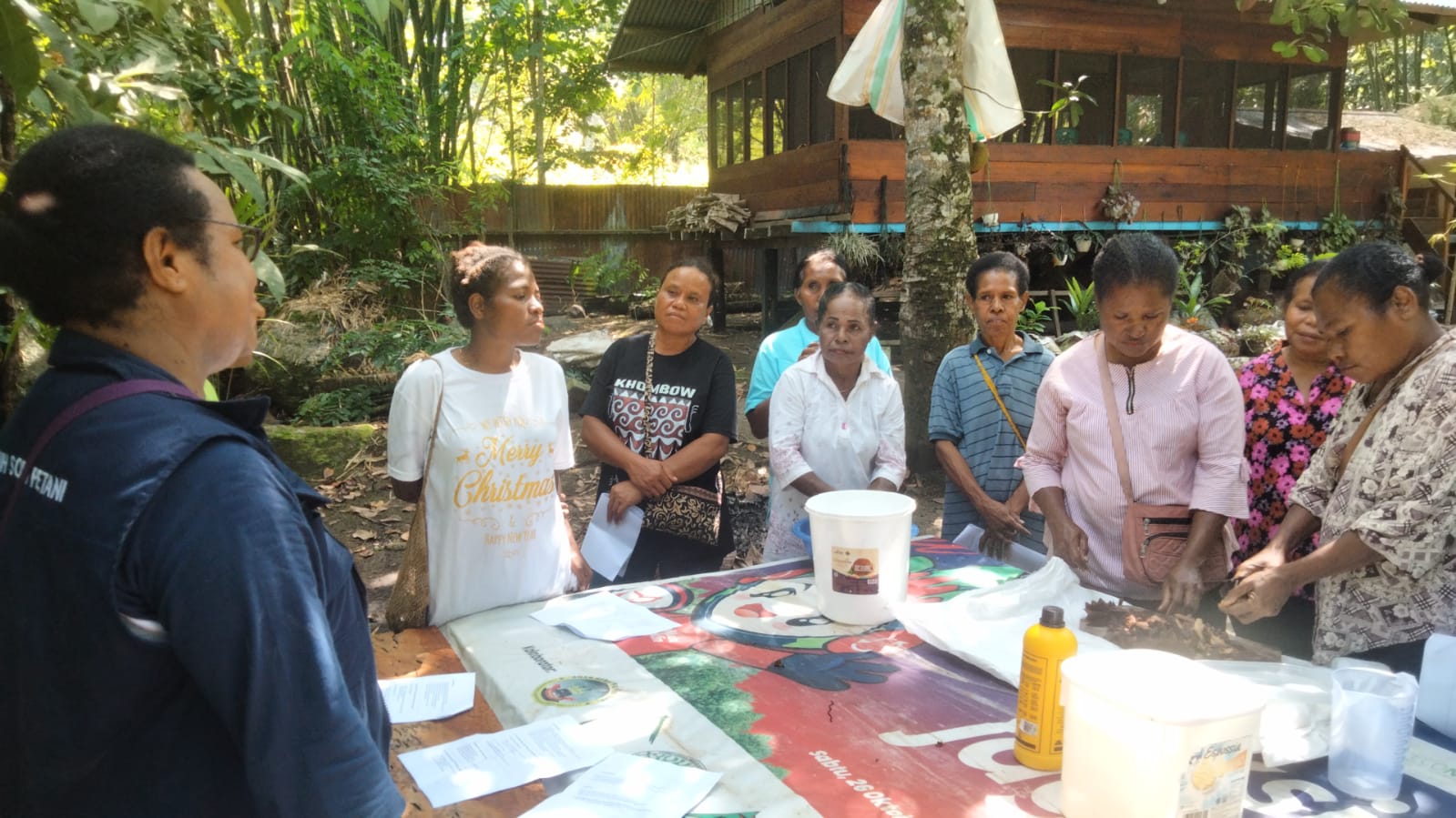 Mama-Mama Sentani Belajar Hidroponik di Lahan Terbatas
